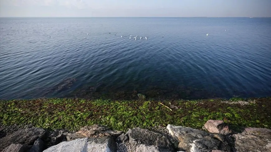 Ege Denizi'ndeki Depremler Turizmde Erken Rezervasyonları Olumsuz Etkilemedi