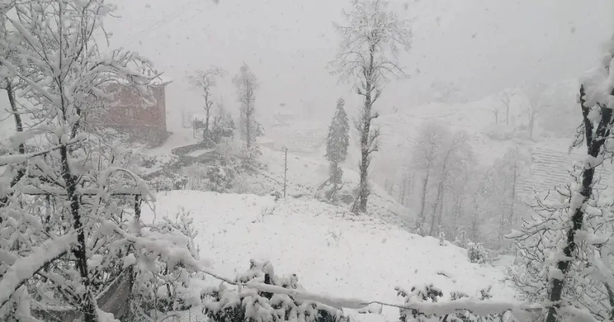 Rize’de yağmur etkili olacak: Yüksek kesimlerde kar bekleniyor