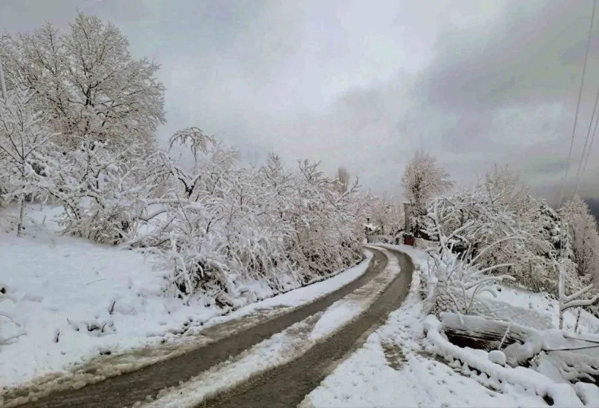 Artvin’de yağmur ve yüksek kesimlerde kar yağışı bekleniyor