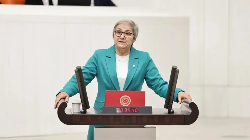 CHP’li Ayça Taşkent: 'Türkiye ucuz et kuyruklarına mahkûm edildi'