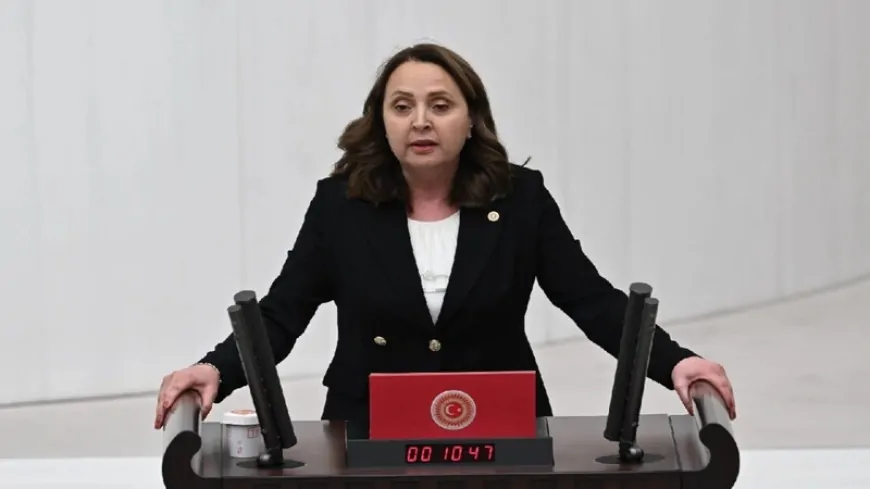 CHP Ankara Milletvekili Semra Dinçer: 'Adalet Akademisi, İktidarın Tabelası Olmaktan İleri Gitmez'
