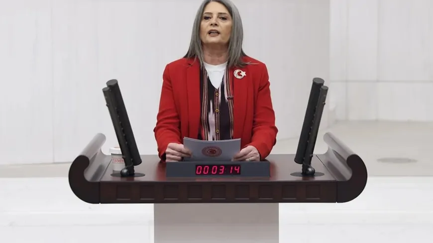 CHP'li Sibel Suiçmez: 'Yargıyı Siyasallaştırarak Hukuk Devleti İlkeleri Yok Edildi'