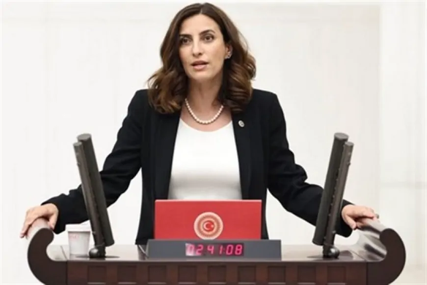 Evrim Rızvanoğlu: 'İstanbul, büyük bir yangın riskiyle karşı karşıya'