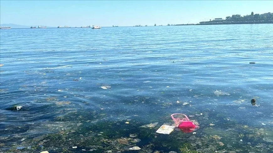 Bebek Sahili'nde Deniz Kirliliği Büyüyor: Vatandaşlardan Sert Tepki