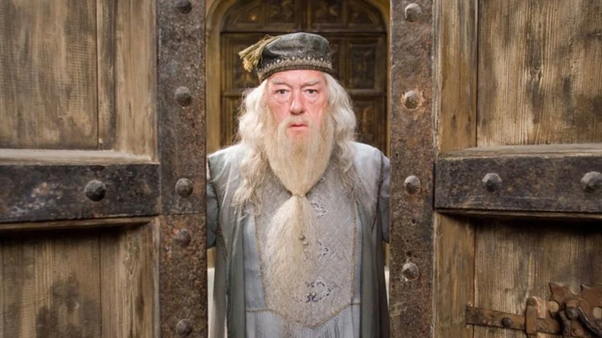 Harry Potter Dizisinde Dumbledore’u Canlandıracak İsim Ortaya Çıktı