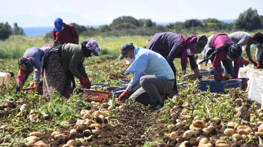 Tarımda Türkiye Yüzyılı Zirvesi başladı: Gıda güvenliği ve yerli üretim gündemde