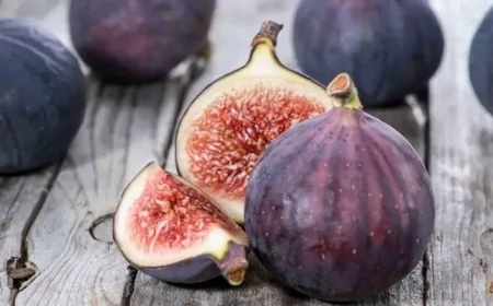 İncir ve Arılar Arasındaki Hayati Bağ: Her Yediğimiz İncirde Bir Arı Ölüyor!