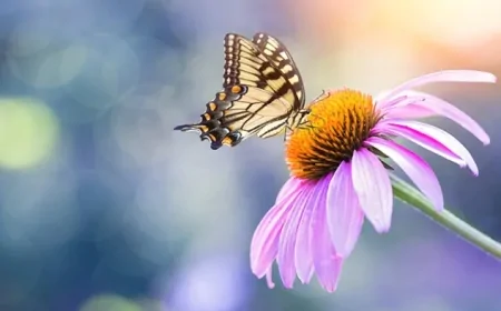 8 Mart Dünya Kadınlar Günü'nde Türkiye'den 34 Ülkeye 75 Milyon Dal Çiçek İhracat Yapıldı