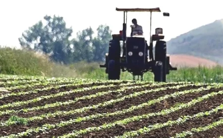 2025 mazot ve gübre desteği ne zaman yatacak? Ödeme takvimi açıklandı