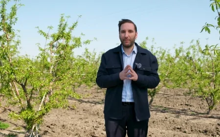 CHP’li Bilal Bilici: 'Adana’daki don felaketi çiftçiyi vurdu, Çukurova afet bölgesi ilan edilmeli'