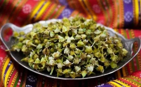 Amasya'da çiçek bamyası rekor kırdı: Kilosu 3.500 TL'ye ulaştı