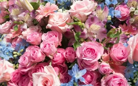 8 Mart Dünya Kadınlar Günü: Anlamı, Önemi ve En Güzel Kutlama Mesajları