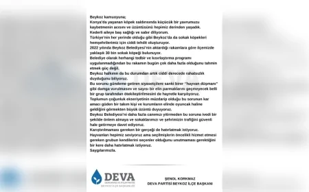 DEVA Partisi, Beykoz’daki Sokak Köpekleri Sorununu Gündeme Taşıdı