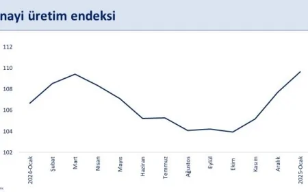 Sanayi üretimi ocakta aylık bazda daraldı, yıllık bazda artışını sürdürdü