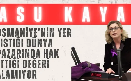 CHP’li Asu Kaya: ‘Osmaniye’nin yer fıstığı dünya pazarında hak ettiği değeri alamıyor’