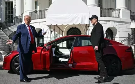 Trump: 'Tesla'ya zarar verenler cehennemi yaşayacak'