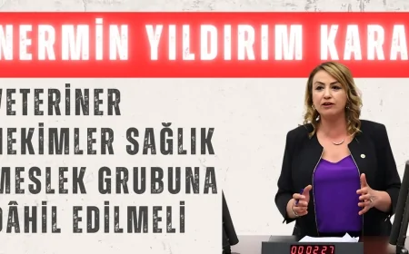 CHP’li Nermin Yıldırım Kara: ‘Veteriner hekimler sağlık meslek grubuna dâhil edilmeli’