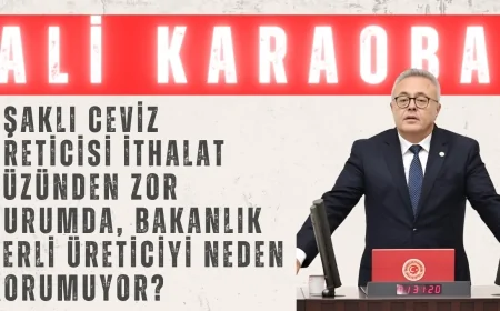 CHP’li Ali Karaoba: "Uşaklı ceviz üreticisi ithalat yüzünden zor durumda, Bakanlık yerli üreticiyi neden korumuyor?"