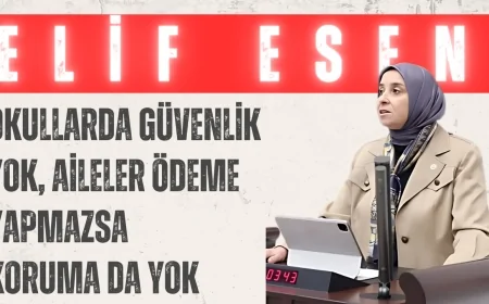 DEVA Partili Elif Esen: ‘Okullarda güvenlik yok, aileler ödeme yapmazsa koruma da yok’