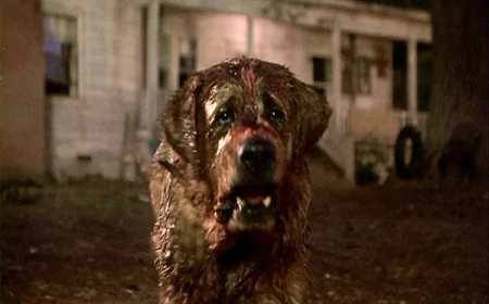 Netflix, Stephen King'in 'Cujo' Romanını Yeniden Uyarlıyor