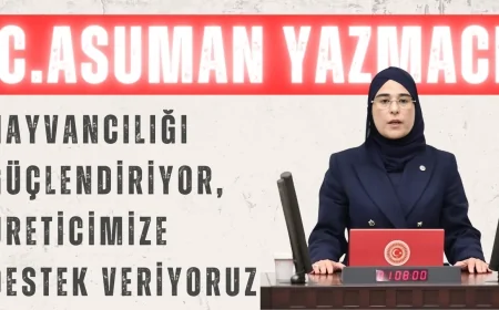 AK Partili Cevahir Asuman Yazmacı: ‘Hayvancılığı güçlendiriyor, üreticimize destek veriyoruz’