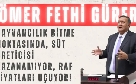 CHP’li Ömer Fethi Gürer: ‘Hayvancılık bitme noktasında, süt üreticisi kazanamıyor, raf fiyatları uçuyor!’