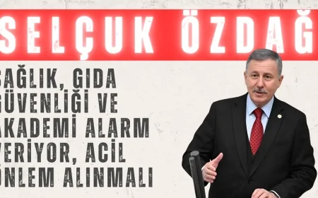Selçuk Özdağ: ‘Sağlık, gıda güvenliği ve akademi alarm veriyor, acil önlem alınmalı’