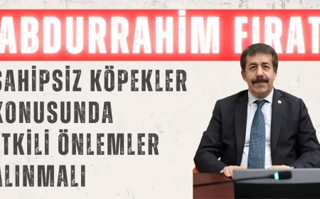 AK Partili Abdurrahim Fırat: ‘Sahipsiz köpekler konusunda etkili önlemler alınmalı’