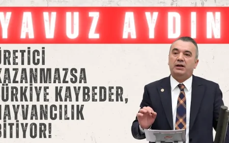 İYİ Partili Yavuz Aydın: ‘Üretici kazanmazsa Türkiye kaybeder, hayvancılık bitiyor!’