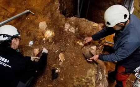 Atapuerca'da 1,4 Milyon Yıllık İnsan Yüzü Bulundu: Avrupa'nın İlk Sakinleri Kimdi?