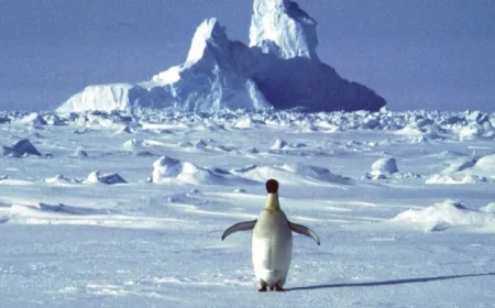 Antarktika'daki dev okyanus akıntısı yavaşlıyor: Küresel iklim için ne anlama geliyor?