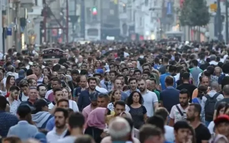 Türkiye’nin 2024 Nüfus Verileri Açıklandı: İşte Şehir Şehir Detaylar