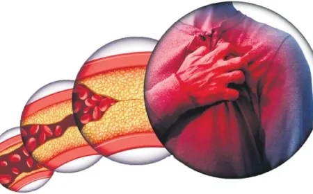 Oruç Tutmanın Kolesterol Üzerindeki Etkileri: HDL Artıyor, LDL Azalıyor