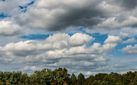Çankırı'da sıcak havalar etkili olacak, ilçe ilçe hava durumu tahminleri!