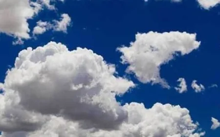 Düzce'de sıcak hava etkili, ilçelerdeki hava durumu nasıl şekillenecek?