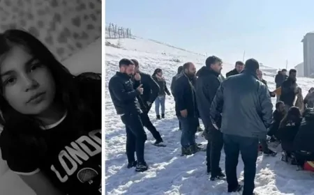 İçişleri Bakanı Ali Yerlikaya, Hakkari Yüksekova’daki sahipsiz köpek saldırısına ilişkin açıklamalarda bulundu: 'Soruşturma başlatıldı'