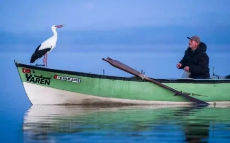 Yaren leyleğin dönüşü heyecan yarattı! Köye ziyaretçi akını