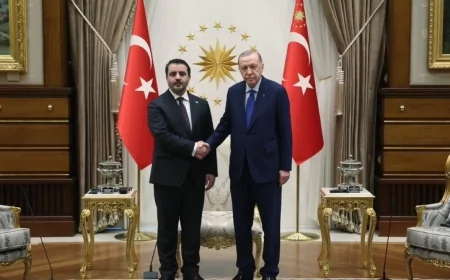 Cumhurbaşkanı Erdoğan, Suriye Dışişleri Bakanı Hasan Şeybani’yi Kabul Etti