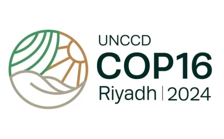 UNDP Afrika Direktörü Ummer: Çölleşme ve Kuraklık Ekonomik ve Sosyal Krizleri Tetikliyor