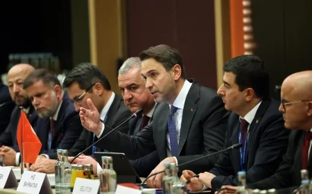 Türkiye’den Alman Yatırımcılara Yenilenebilir Enerji Çağrısı