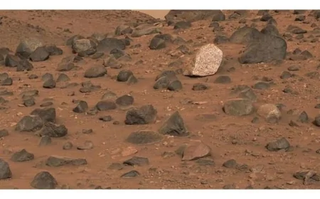 NASA, Mars’ın Yüzeyini Detaylarıyla Ortaya Koyan En Net Görüntüyü Paylaştı