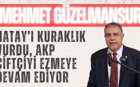 CHP’li Mehmet Güzelmansur: ‘Hatay’ı kuraklık vurdu, AKP çiftçiyi ezmeye devam ediyor’