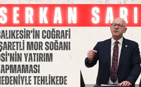 CHP’li Serkan Sarı: ‘Balıkesir’in coğrafi işaretli mor soğanı DSİ’nin yatırım yapmaması nedeniyle tehlikede’