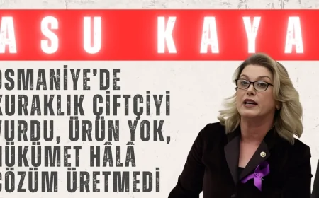 CHP’li Asu Kaya: ‘Osmaniye’de kuraklık çiftçiyi vurdu, ürün yok, hükümet hâlâ çözüm üretmedi’