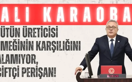 CHP’li Ali Karaoba: ‘Tütün üreticisi emeğinin karşılığını alamıyor, çiftçi perişan!’