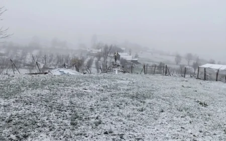 Mart Ayında Kar Sürprizi: Bursa'nın Yüksek Kesimleri Beyaza Büründü