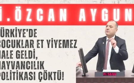 CHP’li İlhami Özcan Aygun: ‘Türkiye’de çocuklar et yiyemez hale geldi, hayvancılık politikası çöktü!’