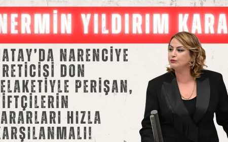 CHP’li Nermin Yıldırım Kara: ‘Hatay’da narenciye üreticisi don felaketiyle perişan, çiftçilerin zararları hızla karşılanmalı!’