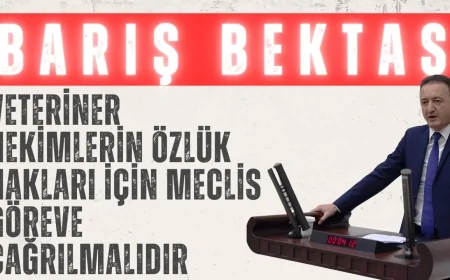 CHP’li Barış Bektaş: ‘Veteriner hekimlerin özlük hakları için Meclis göreve çağrılmalıdır’