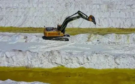 Çin, kobalt ve lityum başta olmak üzere stratejik metal alımına hız veriyor